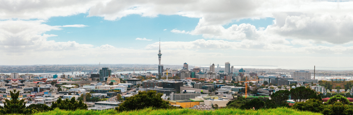 Study in New Zealand